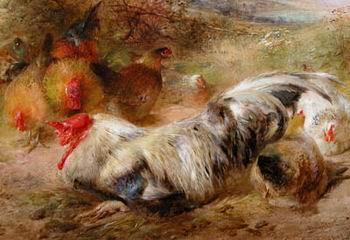 unknow artist Poultry 115 oil painting picture